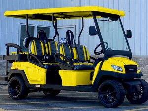 santa clarita golf cart rental, golf cart rentals